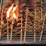 Grilled cicada skewers with some cicadas catching on fire on the grill during Cicadafest at Dr. Jim Duke's Green Farmacy Garden on May 22, 2021 in Fulton, Maryland. 