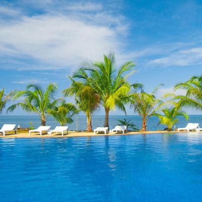 View of pool with palm trees and blue sky and ocean in background.