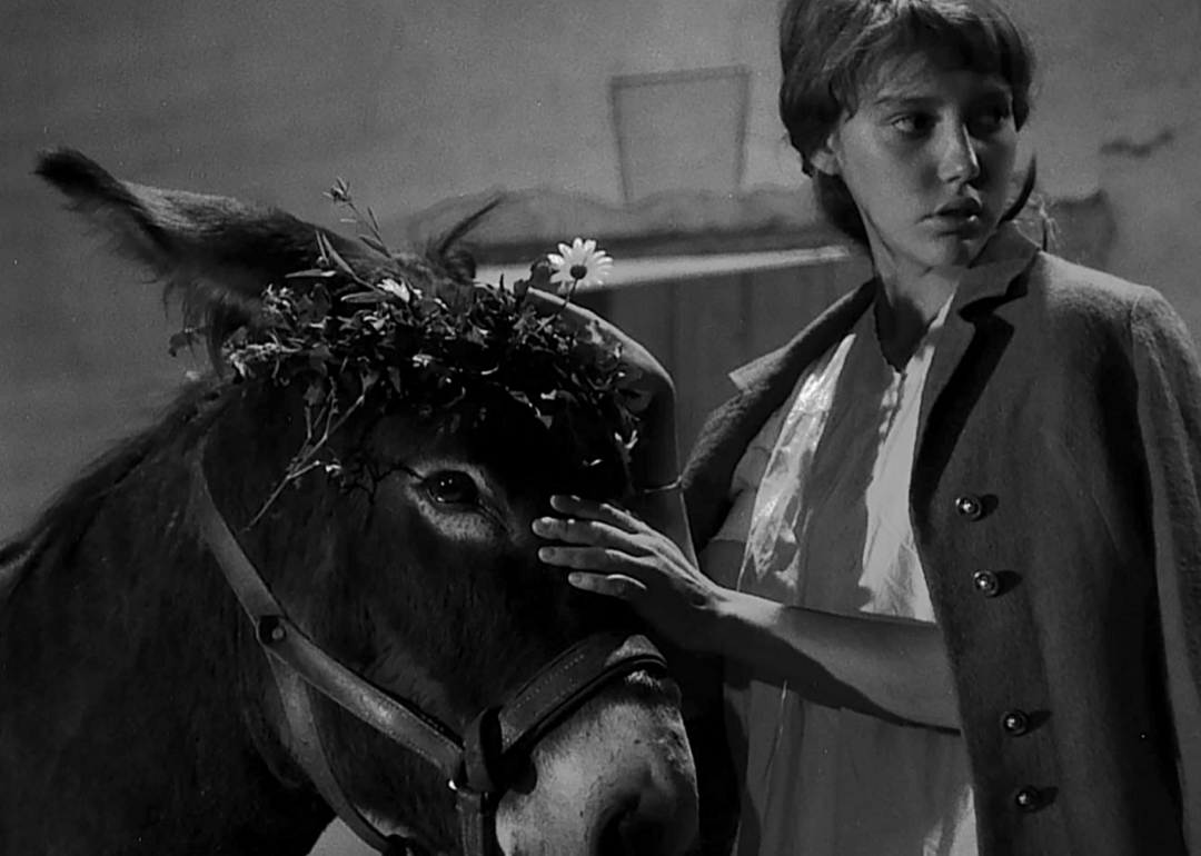 Anne Wiazemsky in a scene from Au Hazard Balthazar.